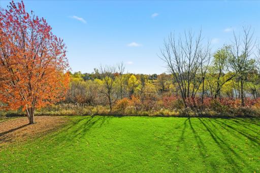 3967 Wild Meadows Drive, Hamel, MN 55340