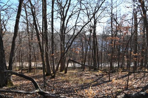 TBD 392 Street, Browerville, MN 56438