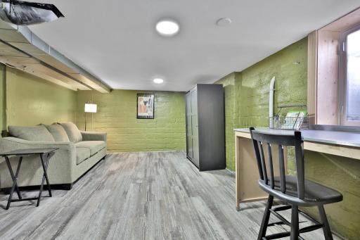 Lower level bedoom/rec room with egress window!