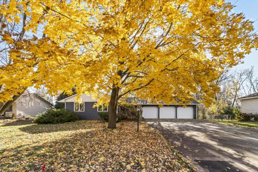 16405 13th Avenue N, Minneapolis, MN 55447