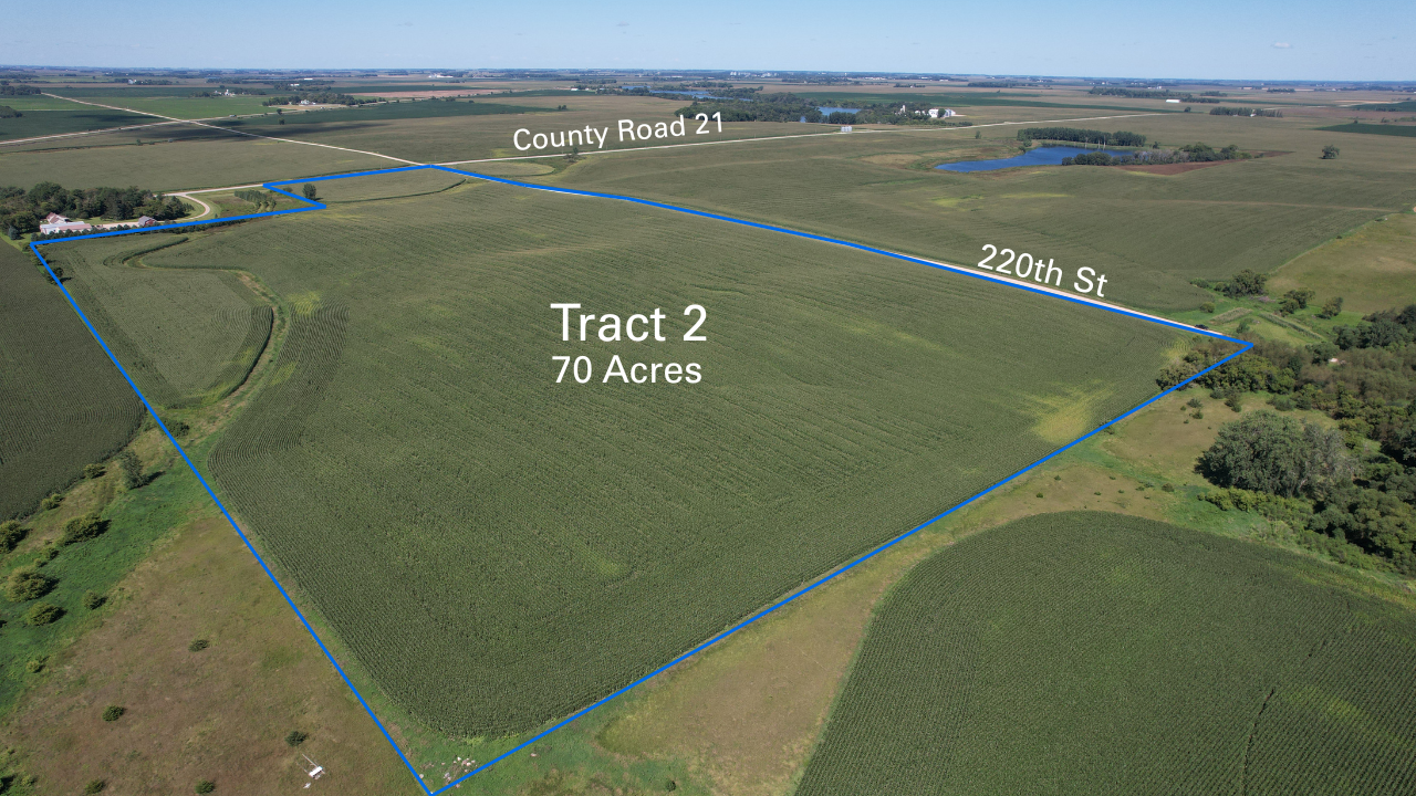 Boundary Lines - Auction Properties (1).png