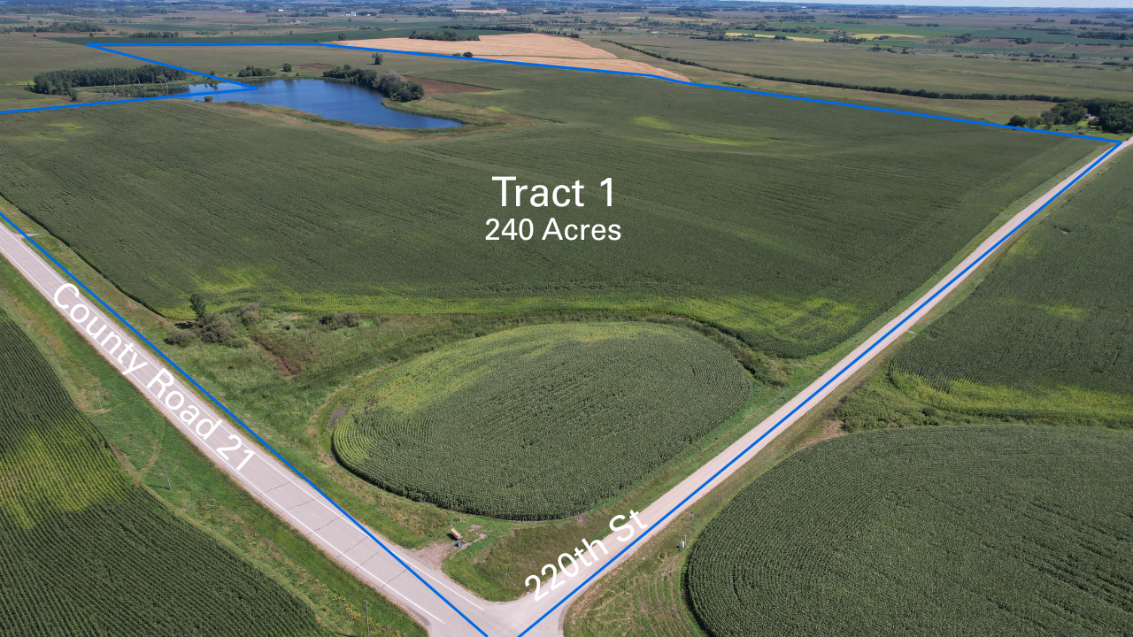 Boundary Lines - Auction Properties (2).png