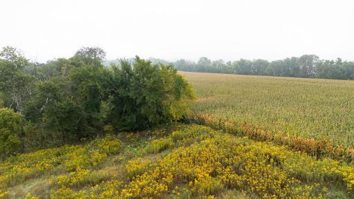 Photo for TBD (Lot 2) Goat Back Road, Pepin, WI 54759 - listing #6813960 TBD (Lot 2) Goat Back Road, Pepin, WI 54759