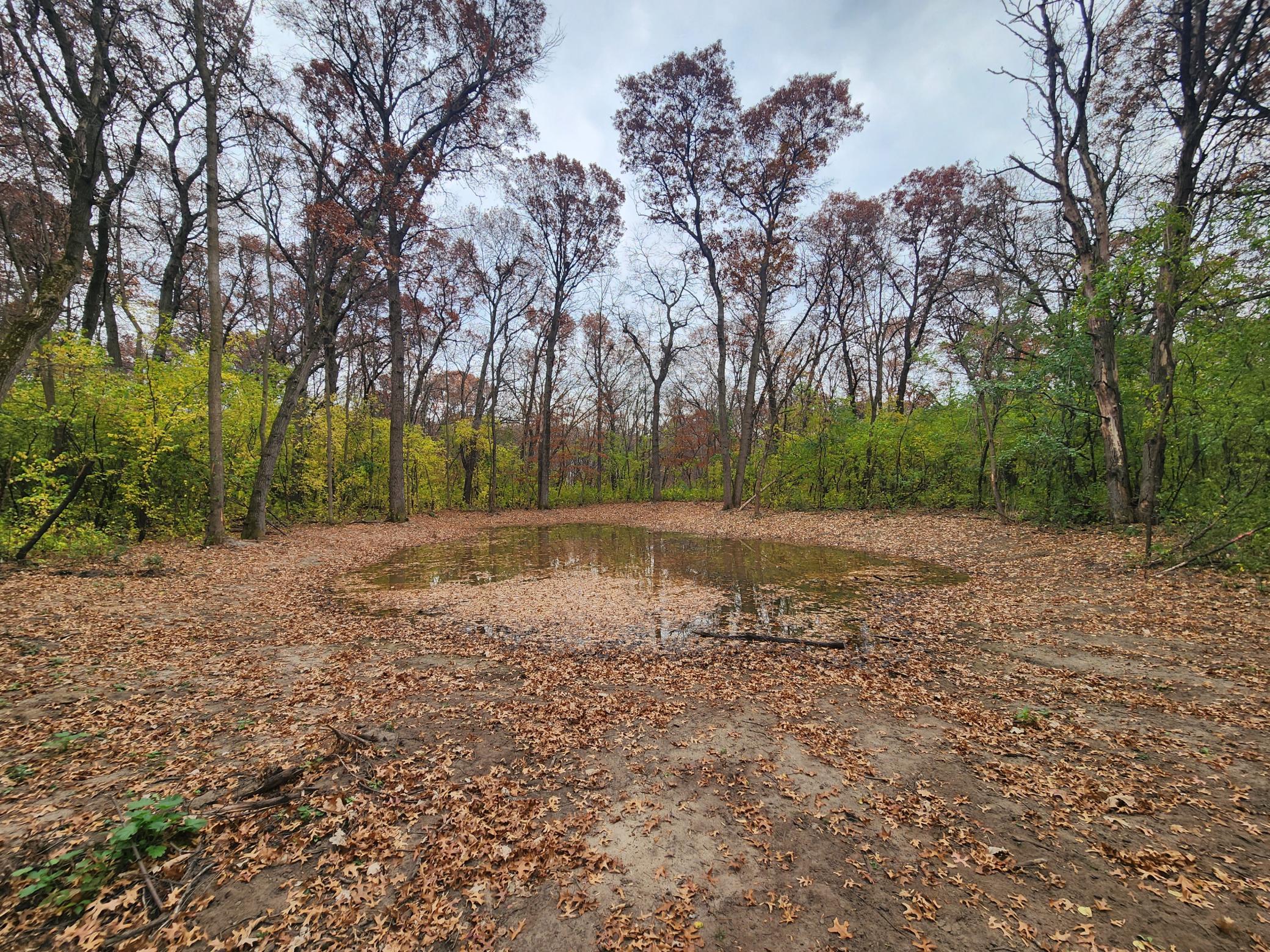 20241029_124035.jpg
