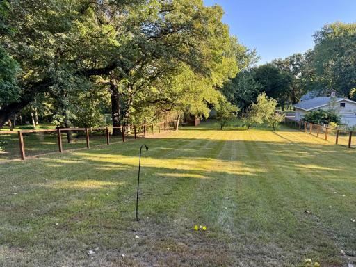 Picture from Backyard looking back towards the house.