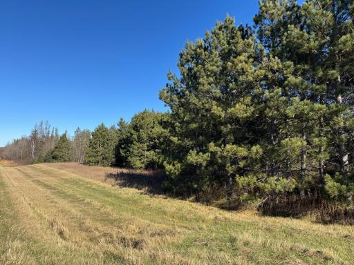 TBD 141st Avenue, Bagley, MN 56621