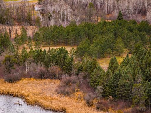 TBD 141st Avenue, Bagley, MN 56621