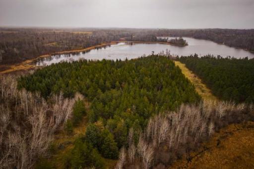 TBD 141st Avenue, Bagley, MN 56621