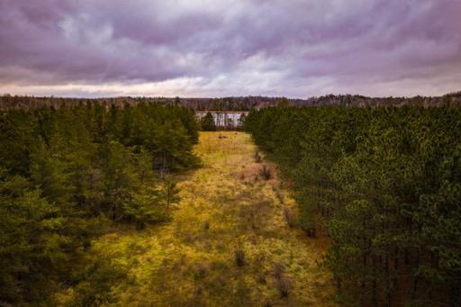 TBD 141st Avenue, Bagley, MN 56621
