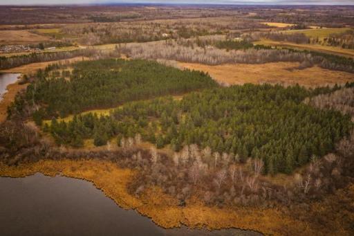 TBD 141st Avenue, Bagley, MN 56621