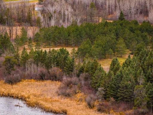 TBD 141st Avenue, Bagley, MN 56621