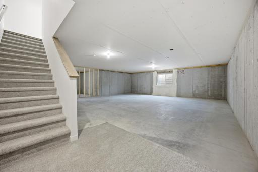Unfinished Basement
