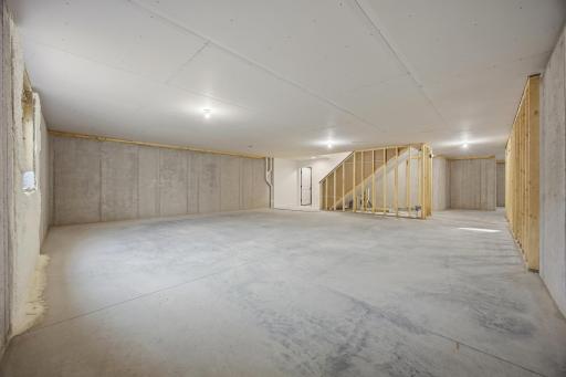 Unfinished Basement