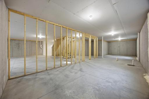 Unfinished Basement