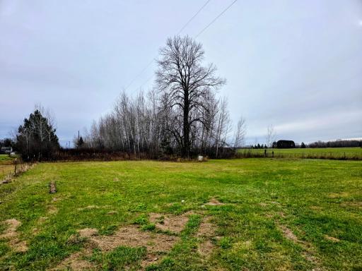 Yard to the left of building