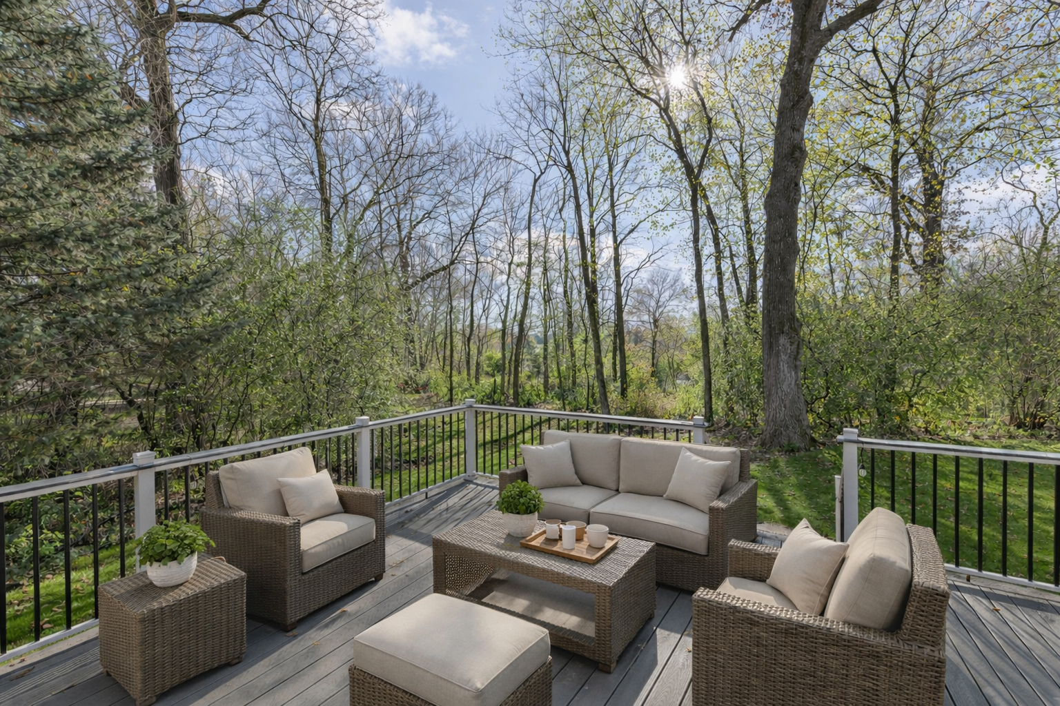 Deck with Furniture.png