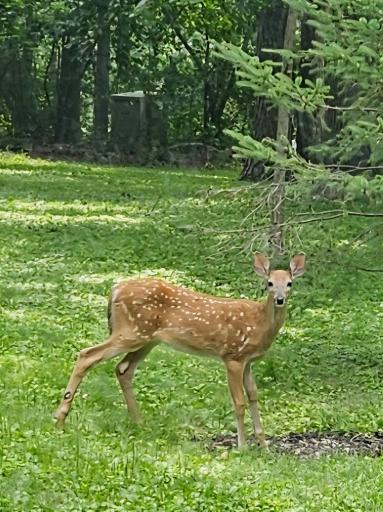 IMG_20260723_134905.jpg