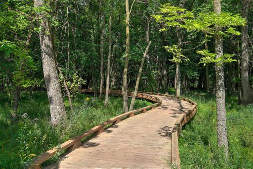 6742 Wildflower Way, Minnetrista, MN 55331