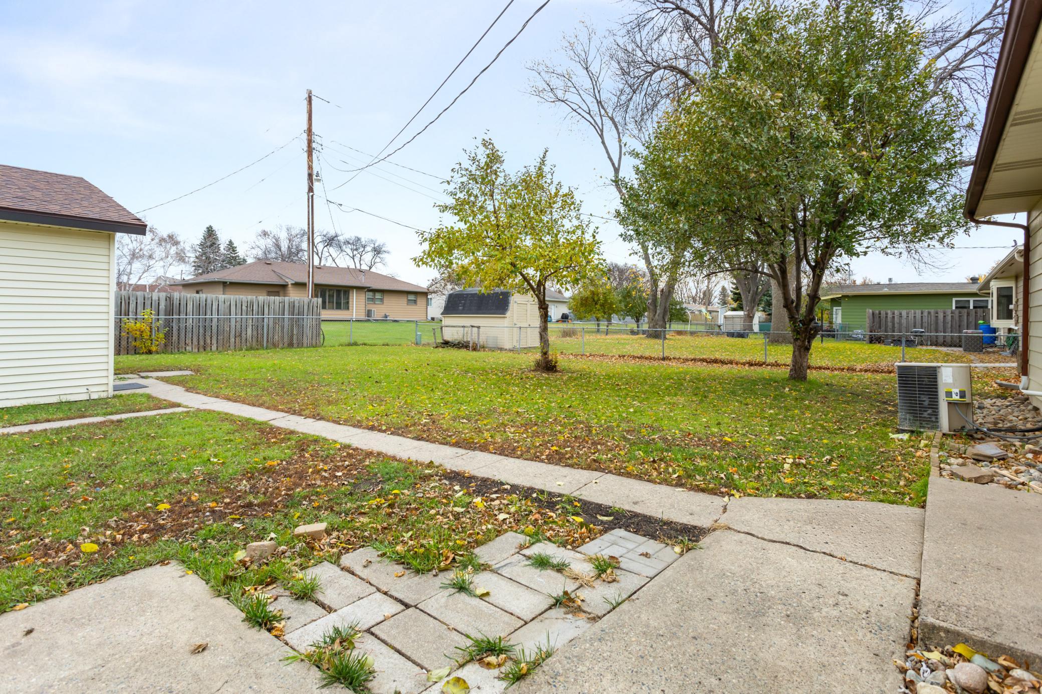 Backyard 3
