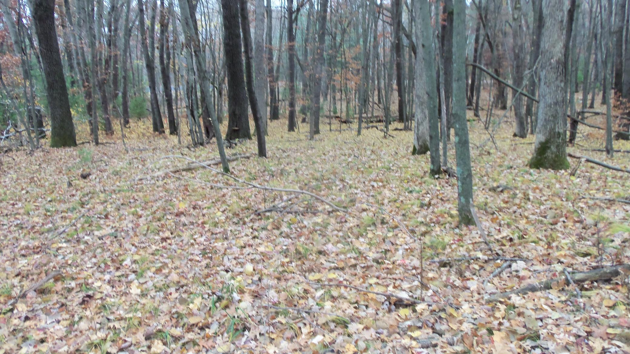 100_6156.JPG