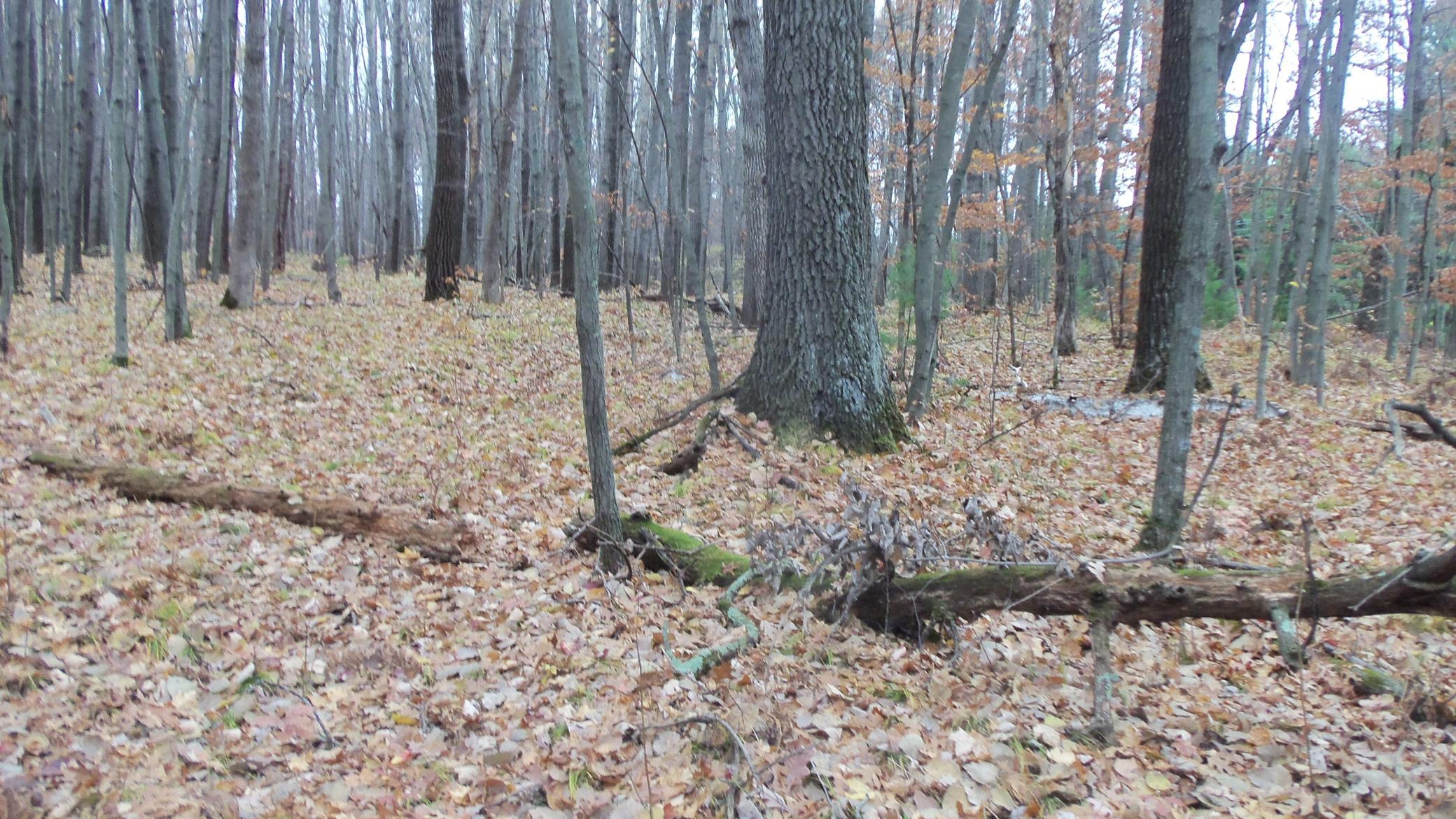 100_6154.JPG