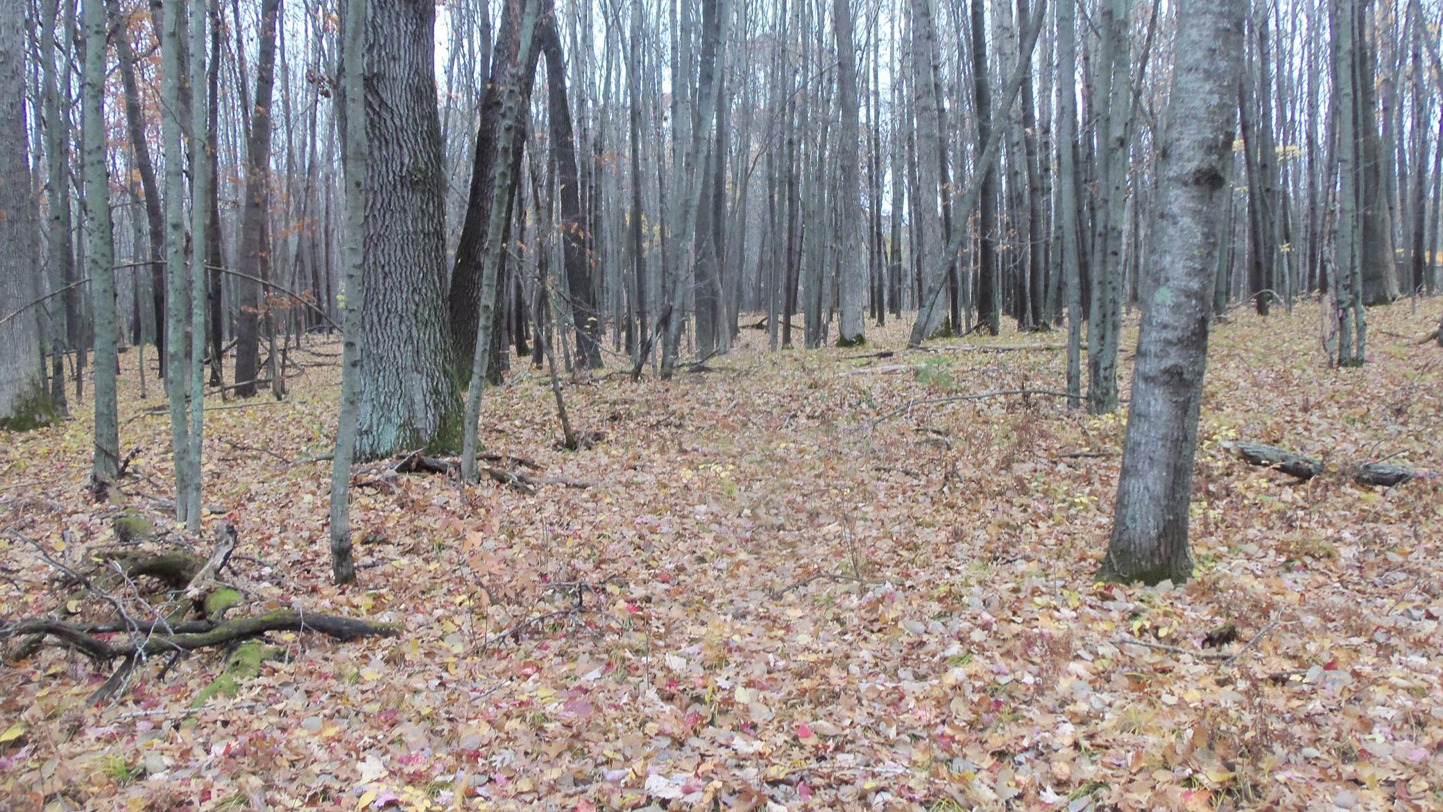 100_6153.JPG