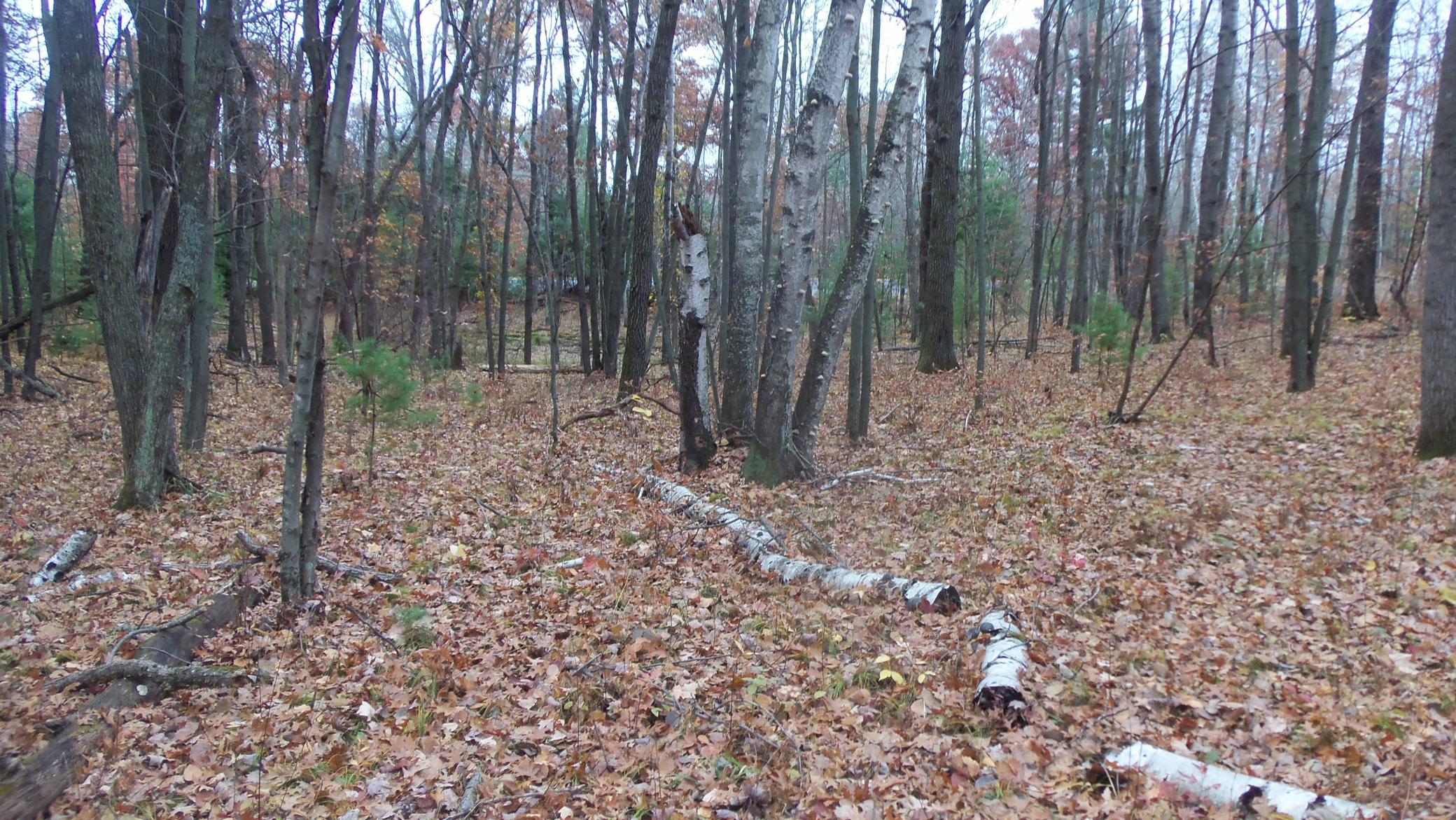 100_6148.JPG