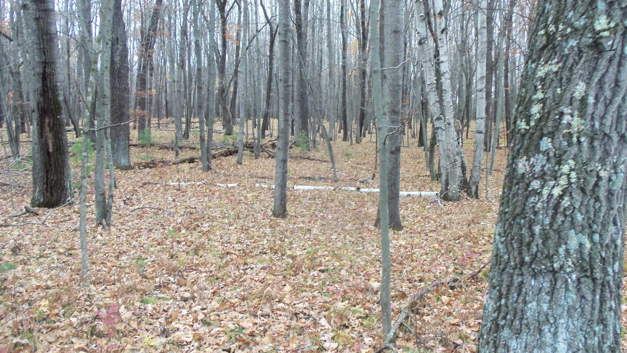 100_6145.JPG