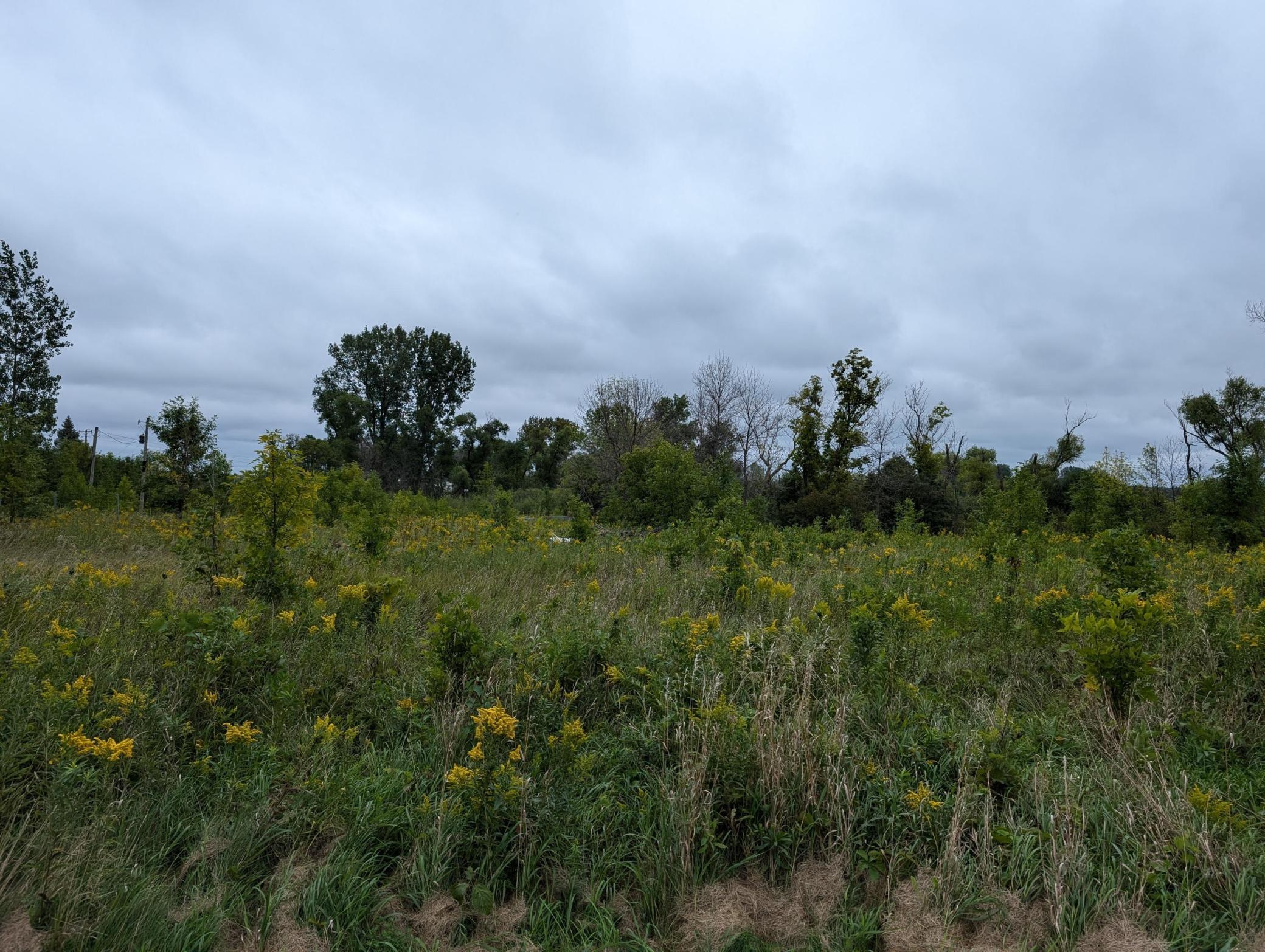 Property photo for 9500 145th Avenue NE, Forest Lake, MN 55025