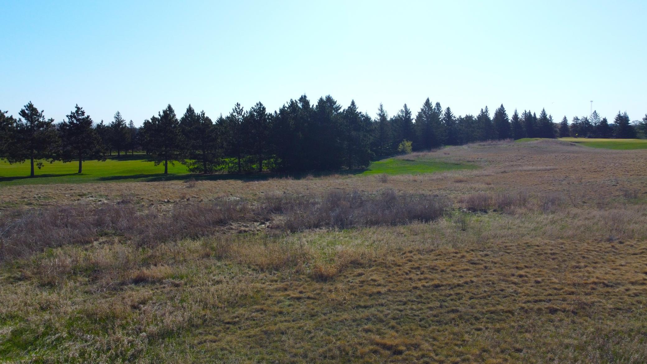 DJI_0354.JPG