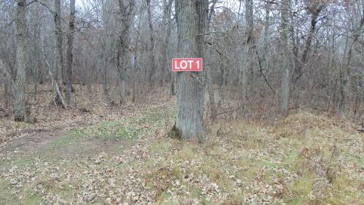 Lot 1 300th St, Saint Croix Falls, WI 54024