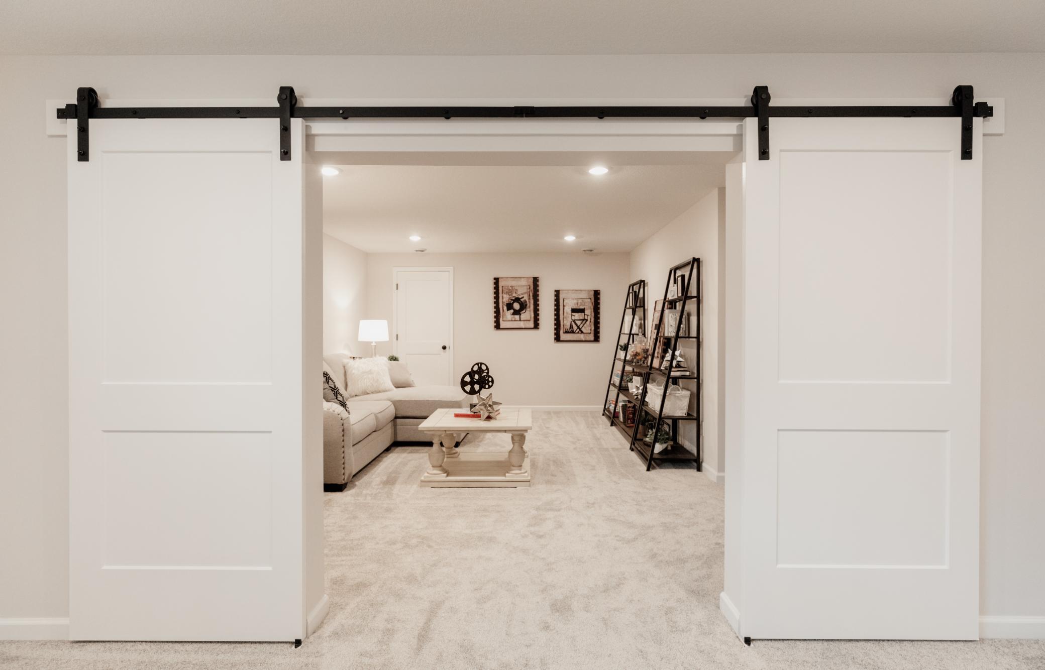 Finished Flex Space/ Theater Room