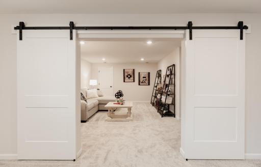 Finished Flex Space/ Theater Room