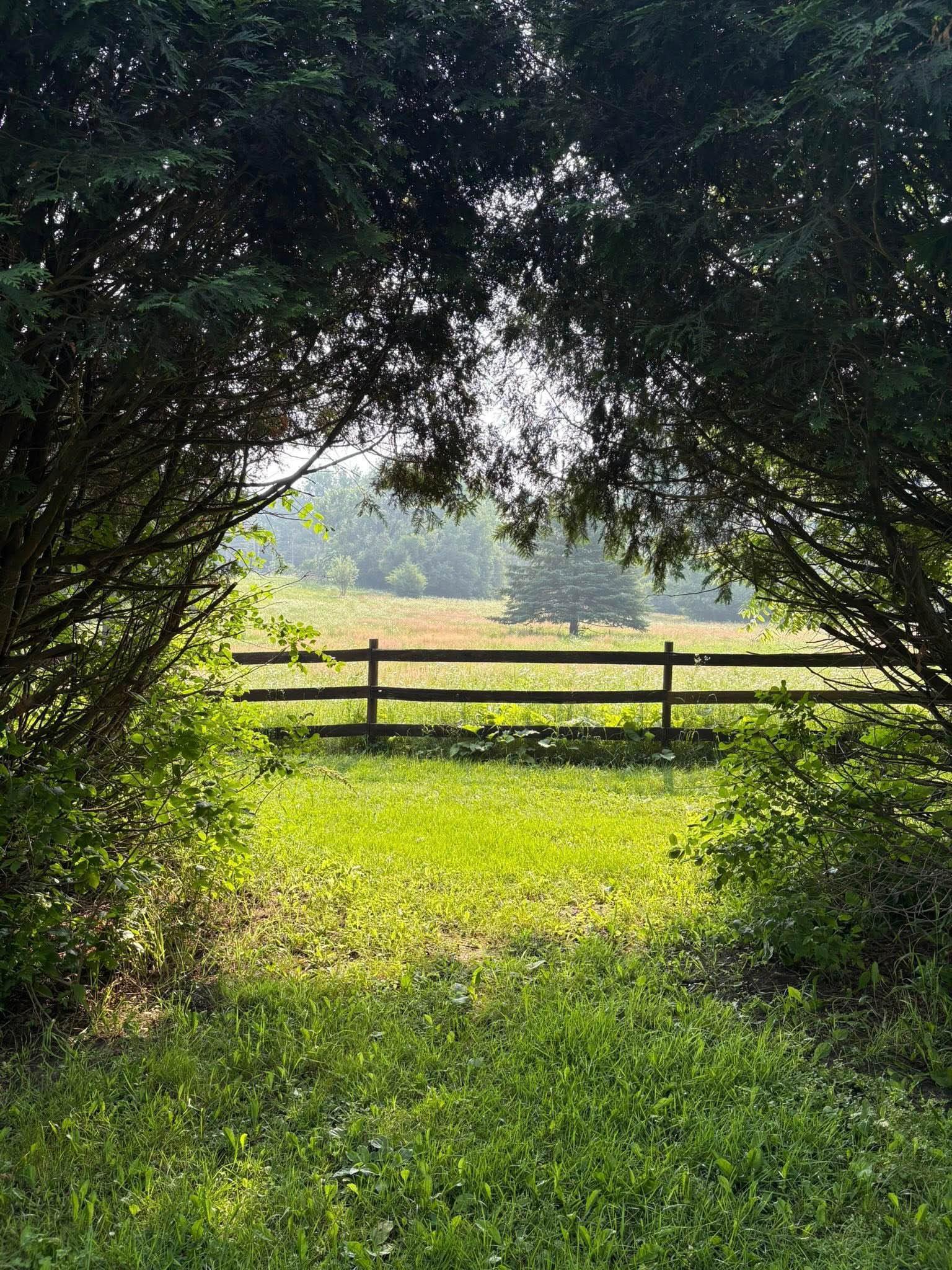 Fully fenced