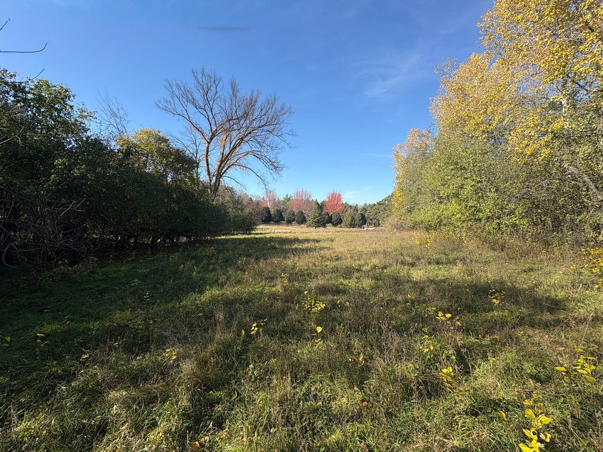 Gently rolling open pasture