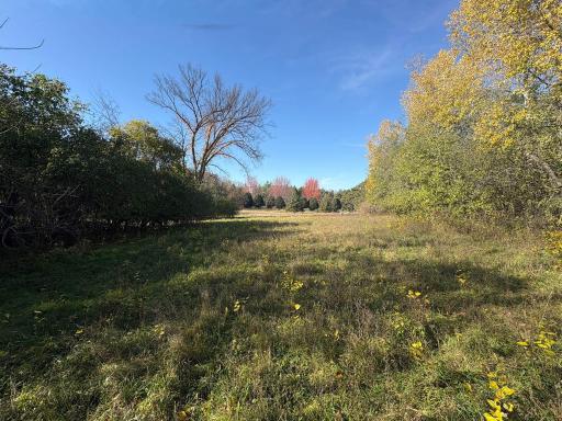 TBD Norsted Avenue S, Afton, MN 55001