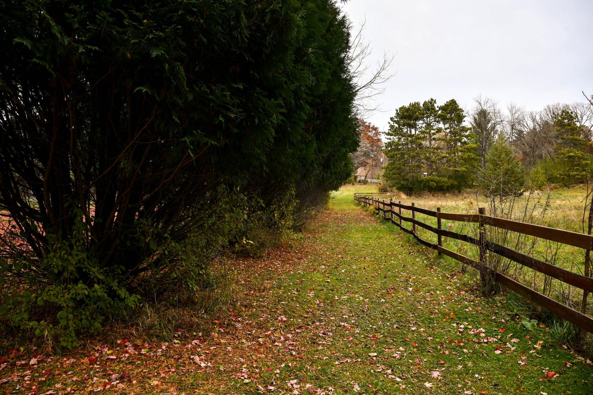 Natural tree line enveloping the property