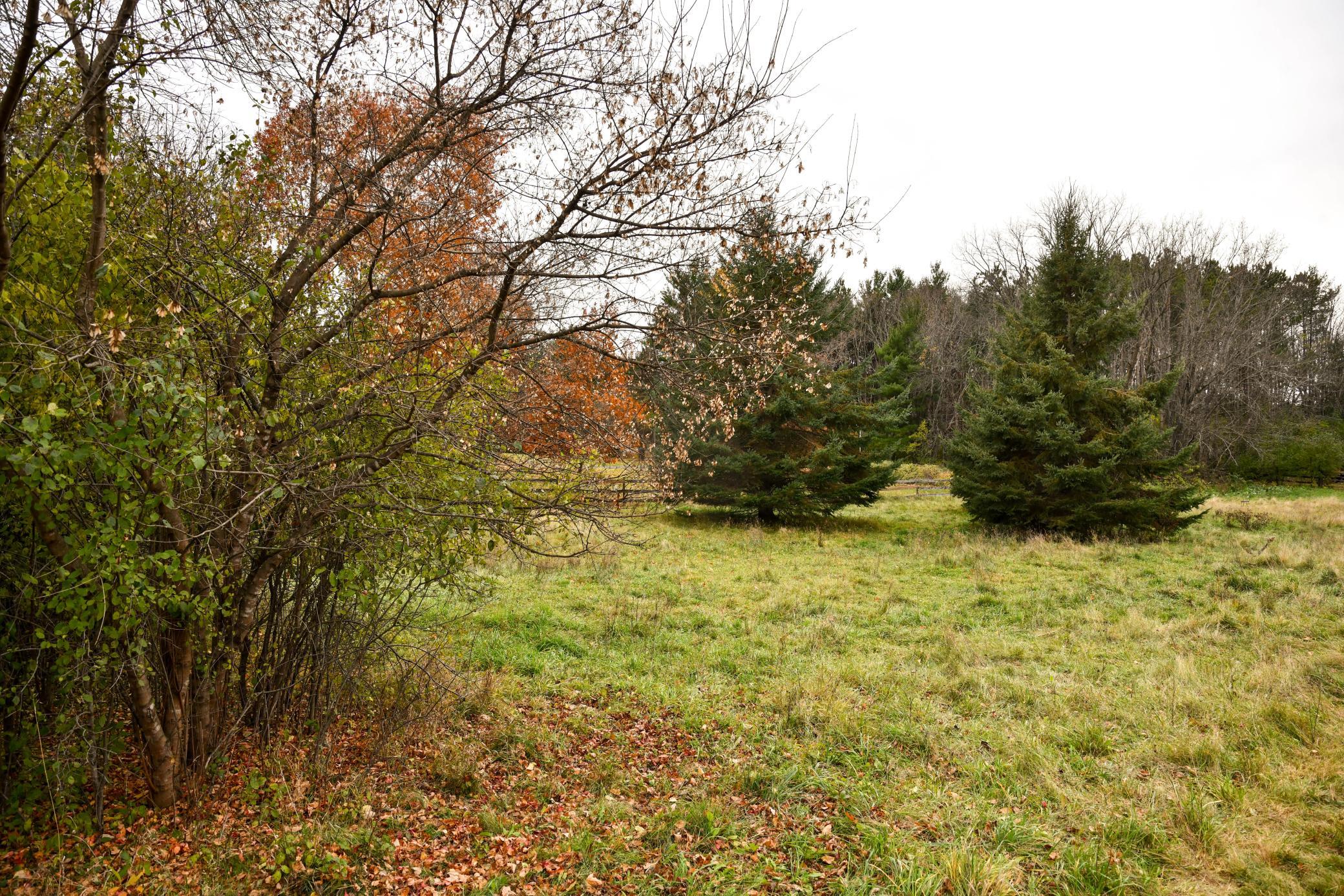 Buildable lot in Afton