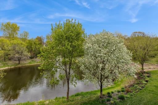 Beautiful view with the blooming crab apple tree and pond