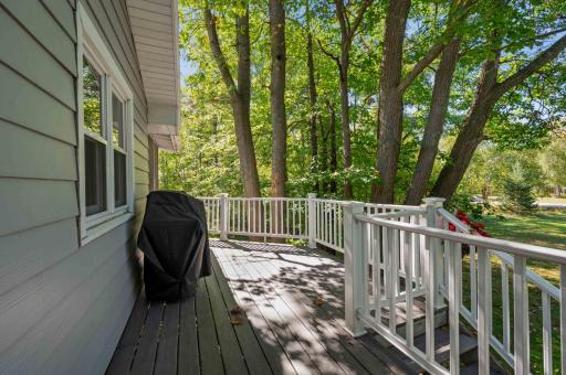 24673 County Road 76, Grand Rapids, MN 55744