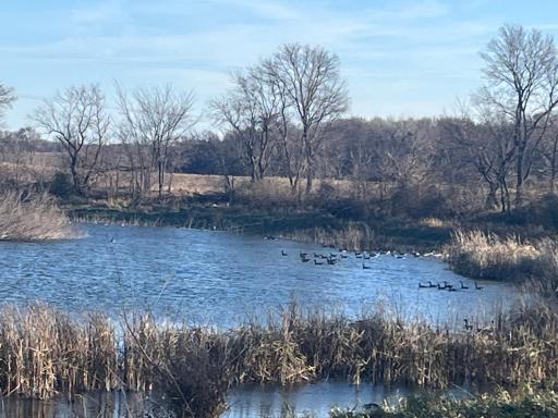 Photo for 18345 102nd Street, Young America, MN 55397 - listing #6816176 18345 102nd Street, Young America, MN 55397