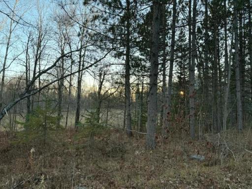 24965 Hammock Trail, Park Rapids, MN 56470