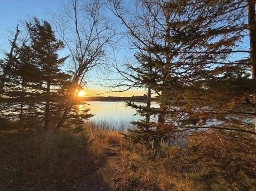 24965 Hammock Trail, Park Rapids, MN 56470