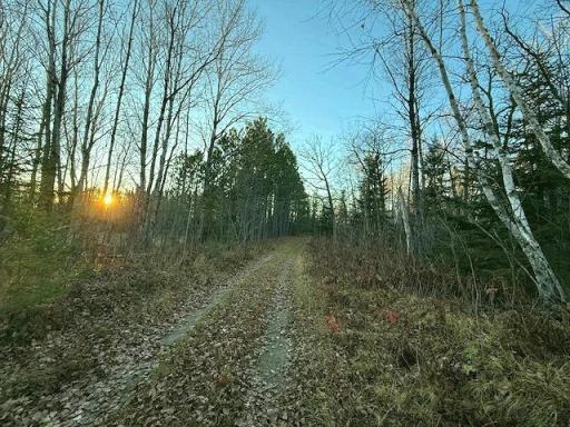 24965 Hammock Trail, Park Rapids, MN 56470