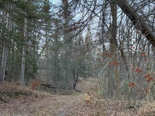 24965 Hammock Trail, Park Rapids, MN 56470