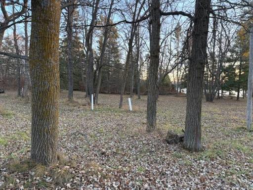 24965 Hammock Trail, Park Rapids, MN 56470