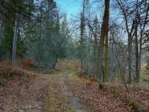 24965 Hammock Trail, Park Rapids, MN 56470