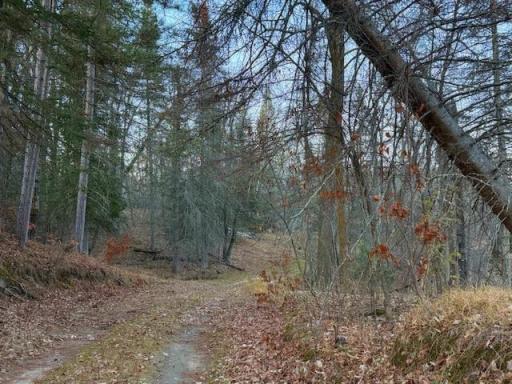 24965 Hammock Trail, Park Rapids, MN 56470
