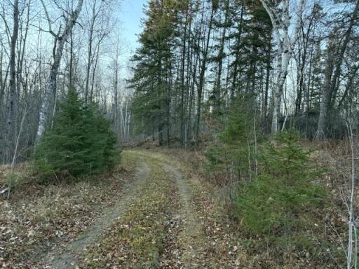 24965 Hammock Trail, Park Rapids, MN 56470