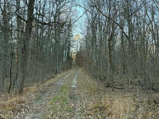 24965 Hammock Trail, Park Rapids, MN 56470